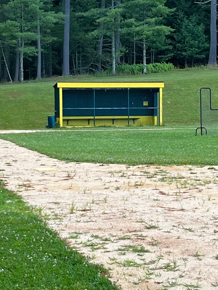 baseball dugouts are in poor conditions and need to be replaced