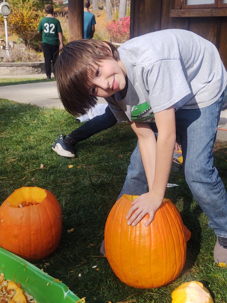 A little boy has his hand in a pumpkin to scoop out the insides.