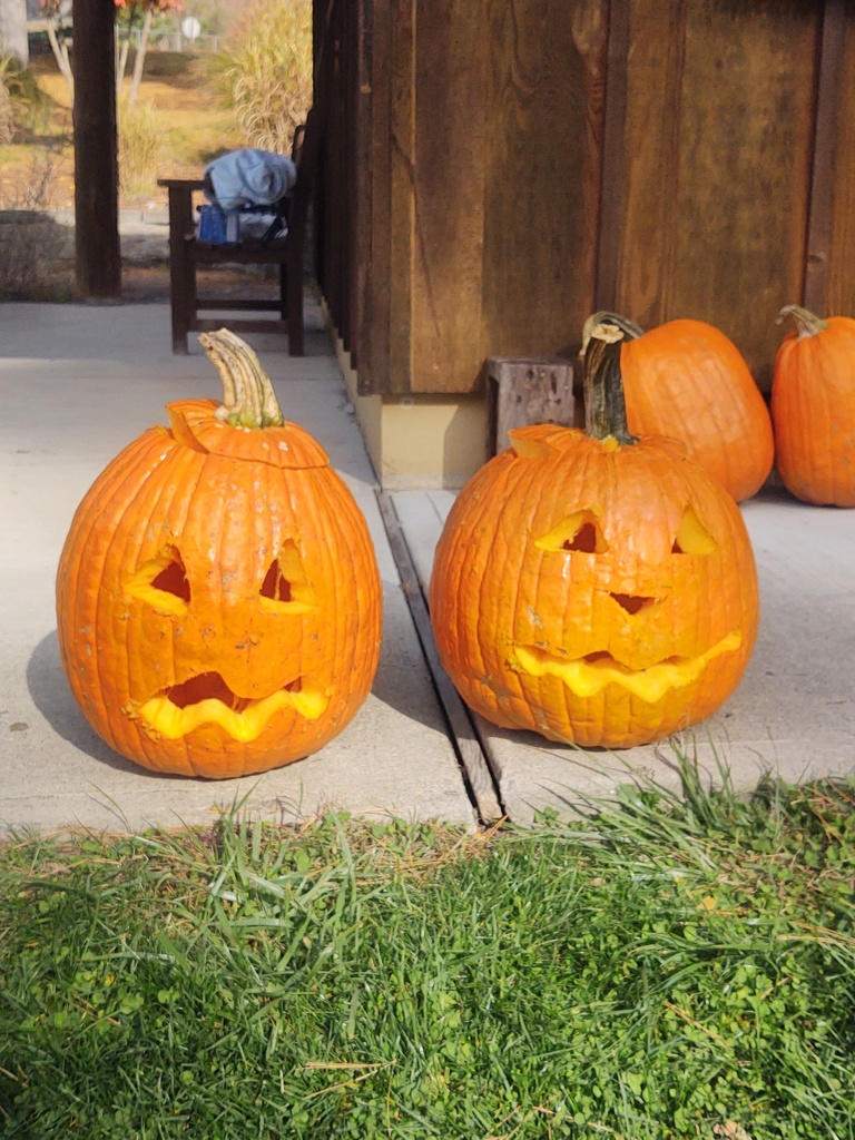2 carved pumpkins with jack-o-lantern faces