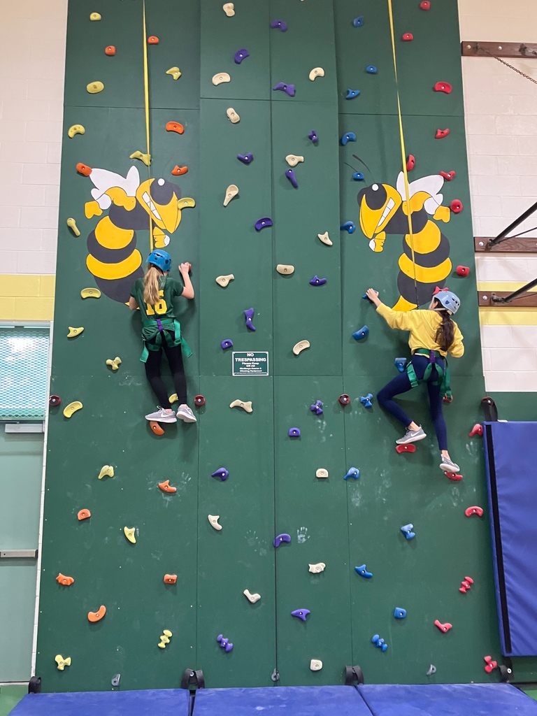 Image of students climbing the rock wall 