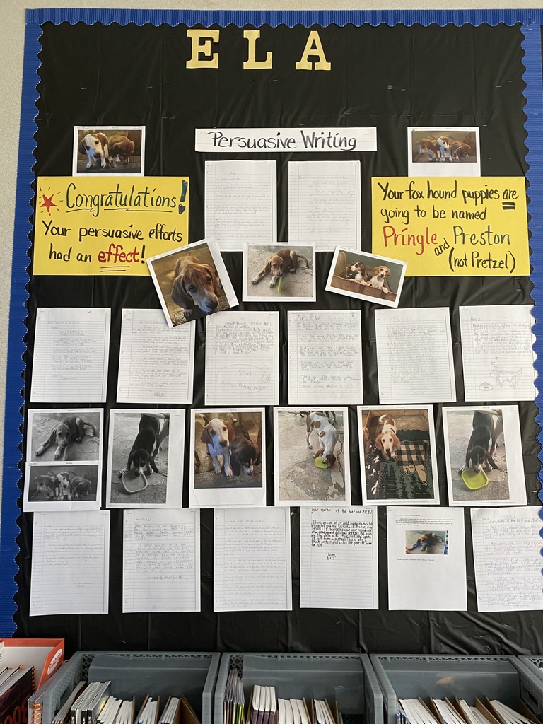 Bulletin Board with student writing samples