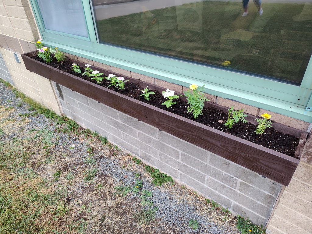 Image of flowers freshly planted in a flower box