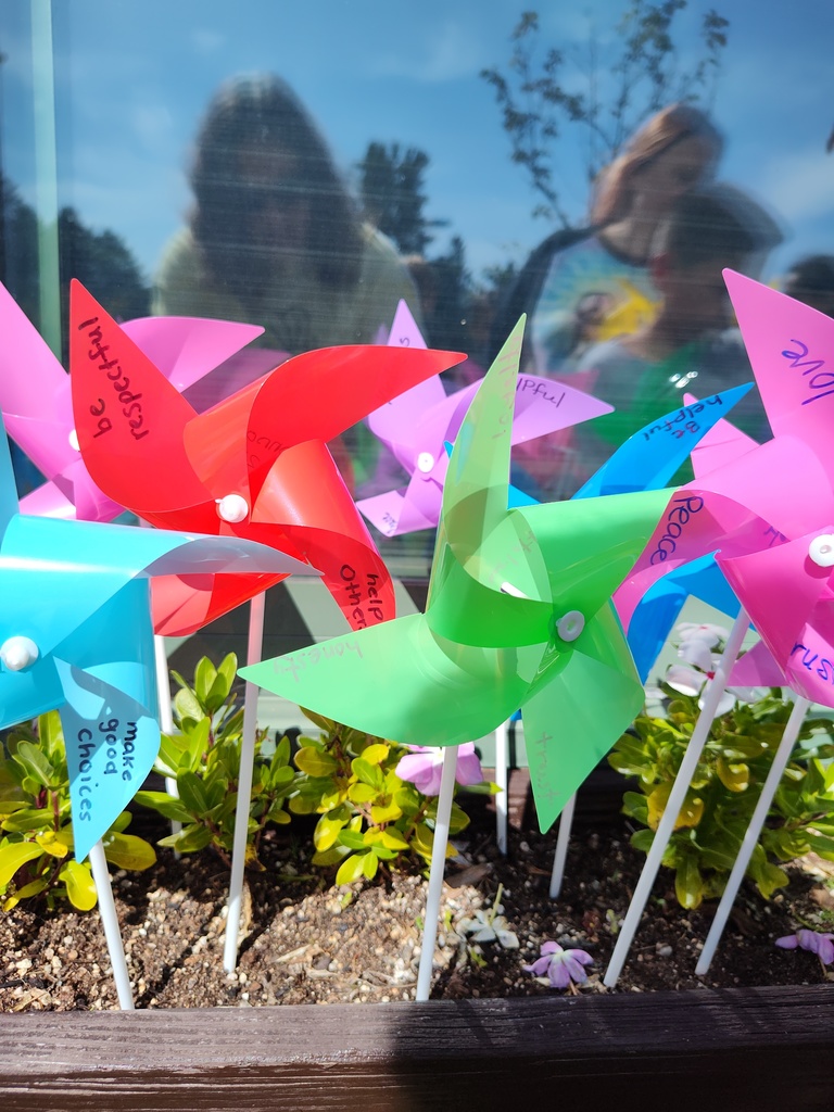 Image of pinwheels in colors of red, blue, green, pink and purple are "planted" in a flower box.